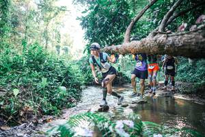 BIB: 
                            <button type="button" onclick="openModal(25436866)" class="btn btn-primary btn-sm float-right btn-popup" data-toggle="modal" data-target=".modal-high-quality">
                        <i class="fas fa-shopping-cart"></i> Add to Cart
                    </button>
                                            <button type="button" onclick="isThisMe(25436866, true)" class="btn btn-success btn-sm float-right btn-popup btn-isme hidden" data-toggle="tooltip" data-placement="bottom" title="นี่คือรูปของคุณใช่ไหม คลิกที่นี่เพื่อเอาเข้าอัลบั้ม">
                        <i class="fas fa-plus"></i> Add to album
                    </button>
                    <button type="button" onclick="isThisMe(25436866, false)" class="btn btn-warning btn-sm float-right btn-popup btn-isnotme hidden">
                        <i class="fas fa-ban"></i> Remove from album
                    </button>